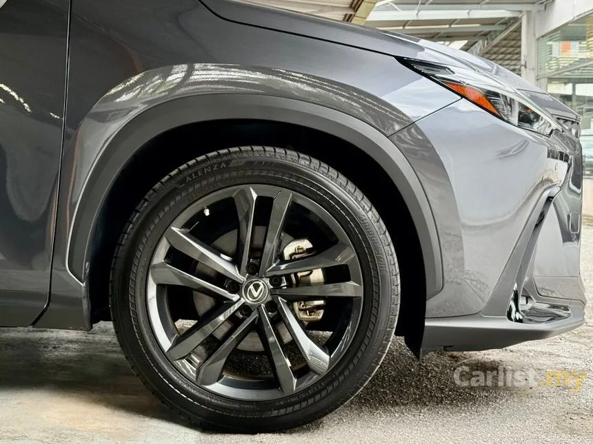 2022 Lexus NX 250 Luxury SUV