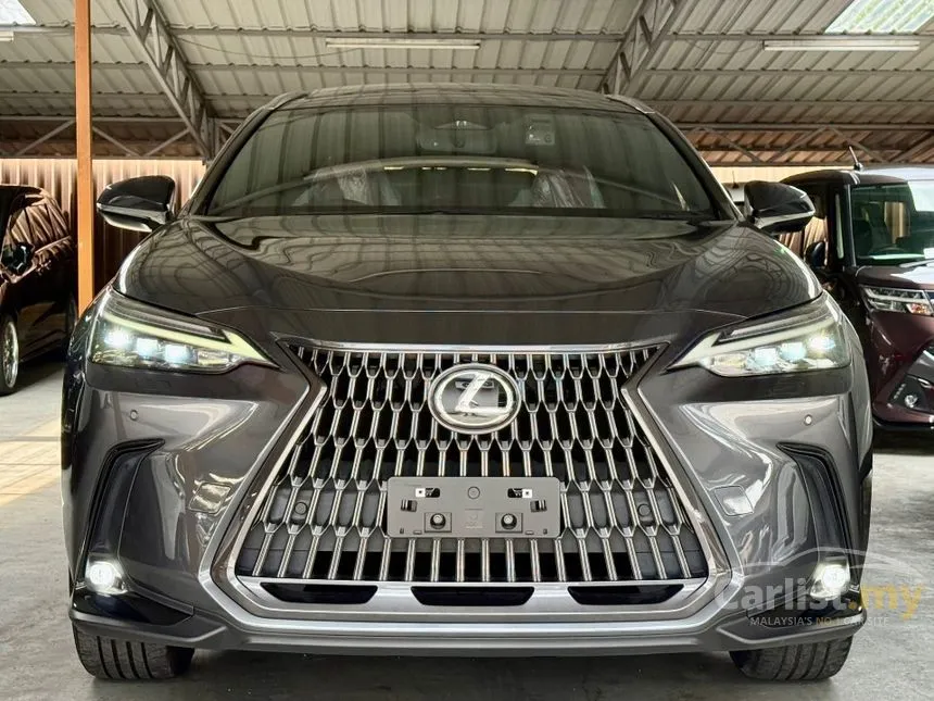 2022 Lexus NX 250 Luxury SUV