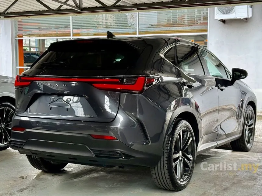 2022 Lexus NX 250 Luxury SUV